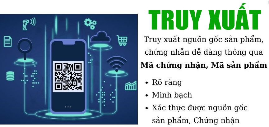 truy xuất